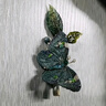She's茜子發(fā)飾斑斕蝶夢刺繡蝴蝶橫夾馬尾盤發(fā)發(fā)夾發(fā)卡七夕禮物送女友 曬單實(shí)拍圖