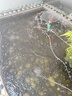 柏卡樂(lè )增氧泵魚(yú)池增氧機海鮮魚(yú)缸氧氣泵大功率養魚(yú)打氧泵電磁式充氧機 40W-6孔 A003型+氣石套餐（45斤魚(yú)用） 曬單實(shí)拍圖