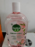 滴露（Dettol）家居廚房清潔除菌噴霧500ml*2冰箱清潔劑除臭消毒李斯特菌 幽門 曬單實拍圖