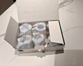 憶壺茶（YIHUTEA） 玻璃杯子耐熱小品茗杯茶具配件加厚功夫花茶杯套裝家居辦公水杯 曬單實拍圖