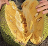 越南菠蘿蜜正宗進(jìn)口鮮果香甜可口果王稀缺脆甜帶皮出果肉40%左右 帶皮切塊果肉3斤-4斤 曬單實(shí)拍圖