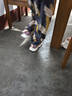巴布豆（BOBDOG）童鞋軟底透氣老爹鞋夏季兒童運動鞋女 103522146 嫩粉/藕荷紫32 曬單實拍圖