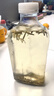 五糧液 普五八代 2022-25年 濃香型白酒 52度 500ml*6 原箱 年份隨機 曬單實(shí)拍圖