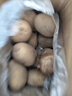 京鮮生 甘肅定西土豆凈重5斤 單果100g+ 沙面黃心馬鈴薯洋芋 源頭直發(fā) 曬單實(shí)拍圖