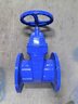 FGO球墨鑄鐵軟密封閘閥 精選款 Z45X-16Q DN65 曬單實(shí)拍圖