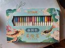 點(diǎn)石制筆 柔繪筆秀麗筆彈性軟頭毛刷筆馬克筆小楷學(xué)生繪畫(huà)涂色手賬生日畢業(yè)禮物310E新國色24色禮盒 曬單實(shí)拍圖