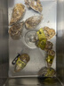 鮮海道 鮮活乳山生蠔5XL 凈重5斤 9-12只 生鮮海鮮貝類 源頭直發(fā) 曬單實(shí)拍圖
