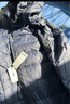 雪中飛90絨輕薄羽絨服男女同款連帽時(shí)尚休閑秋冬保暖情侶外套男175 曬單實(shí)拍圖