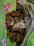 陳昌銀重慶陳麻花原味408g 重慶特產(chǎn)老字號磁器口陳麻花糕點(diǎn)心零食小吃 曬單實(shí)拍圖