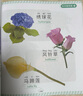 認物大全 兒童早教啟蒙書(shū) 兒童繪本 嬰幼兒?jiǎn)⒚烧J知早教書(shū) 0到3歲2歲寶寶益智書(shū)籍 一歲半寶寶看的書(shū) 圖書(shū)書(shū)本識字卡片兩三歲看圖識物 認物大全 600例 曬單實(shí)拍圖