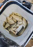 達億瓦（DAIWA）日本進口新款臺釣竿黑坑競技竿超輕硬飛磕手竿碳纖維魚竿十大品牌 6H 39.E 曬單實拍圖