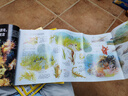 博物雜志 青少年科普百科知識 兒童科普大百科期刊 中小學(xué)生通識教育課外閱讀 中國國家地理青春版雜志鋪單本/半年/全年訂閱2024/2025年1月-6月/7月-12月任選非過刊博物君遠(yuǎn)古動(dòng)物園 【上半年 曬單實(shí)拍圖