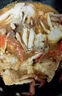 梭子蟹特大活凍野生新鮮大螃蟹大蟹生鮮水產(chǎn)飛蟹大肉蟹 特大梭子蟹【7-9兩/只 】?jī)糁?斤 曬單實(shí)拍圖