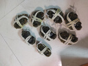 【活蟹】蟹宗大閘蟹鮮活螃蟹河蟹全母2.5-2.8兩8只水產(chǎn)生鮮中秋節日禮品禮盒源頭直發(fā) 曬單實(shí)拍圖