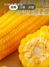 大希地奧爾良口味 大雞排凈重100g*5片雞胸肉雞扒健身輕食餐燒烤早餐 曬單實(shí)拍圖