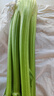 京鮮生山東新鮮大西芹凈重4.5斤榨汁現(xiàn)挖芹菜鮮嫩蔬菜 去半葉源頭直發(fā) 曬單實(shí)拍圖