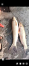 川澤蠻牛巨物加長(cháng)子線(xiàn)雙鉤成品伊勢尼魚(yú)鉤主攻大物4卷盒裝青草鱘魚(yú)鉤 1米 【鉤12#+線(xiàn)號5.0#】4卷盒裝 蠻牛巨物子線(xiàn)雙鉤 曬單實(shí)拍圖