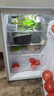 志高電冰箱雙門家用節(jié)能冰箱出租屋冷藏冷凍環(huán)保迷你冰箱辦公室公寓租房宿舍低噪電冰箱 S192銀色一級能效【萬人推薦】 曬單實拍圖