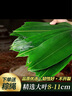華田禾邦野生粽葉8-11cm超大號(hào)粽葉100片新鮮箬葉 端午節(jié)包粽子天然竹棕葉 曬單實(shí)拍圖