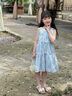 WVD國際品牌女童夏季裙子2025新款夏天沙灘裙小女孩雪紡公主裙兒童夏裝洋裝 藍色 藍色 110 CM 曬單實(shí)拍圖