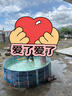 歐巢游泳池兒童家用免充氣成人嬰兒寶寶大型室內戶(hù)外可折疊泳池游泳桶 直徑120cm 曬單實(shí)拍圖