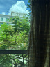 貝親奶瓶清洗劑 嬰兒奶瓶清潔劑餐具清洗劑植物性原料清洗液 超值套裝1300ml 曬單實(shí)拍圖