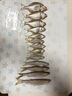 臻佑（Grsaed）兒童魚(yú)竿套裝小孩初學(xué)專(zhuān)用釣魚(yú)竿釣蝦釣蟹小物竿1.5m小飛俠綠 曬單實(shí)拍圖