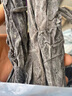 方家鋪子 中華老字號 精選海帶頭250g  海帶根部30cm 特厚葉片 涼拌煲湯 曬單實(shí)拍圖
