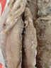 富海錦鮮凍整只大魷魚1.6斤 2-3條 火鍋燒烤食材 轟炸大魷魚海鮮軟足 曬單實拍圖