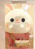 熊貓熊兔子玩偶毛絨玩具七夕情人節(jié)禮物女孩生日禮物女生公仔兒童布娃娃 曬單實(shí)拍圖