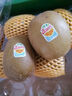 佳沛（zespri）新西蘭  陽光金果16粒經(jīng)典果單果 77-103g 中秋水果禮盒 獼猴桃 曬單實拍圖