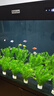 海豚孔雀魚(yú)飼料40g薄片魚(yú)食上浮型 米奇燈科魚(yú)通用小型魚(yú)糧熱帶魚(yú)飼料 曬單實(shí)拍圖