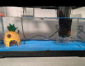 闊庭（KUOTING）魚(yú)缸水族箱生態(tài)桌面魚(yú)缸新款懶人魚(yú)缸生態(tài)造景過(guò)濾制氧一體機(jī)黑色 曬單實(shí)拍圖