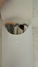 眼影刷套裝刀鋒刷眼線(xiàn)刷鋪色臥蠶刷暈染細節眉刷小號刷子化妝套裝 白瓷色眼影刷 9支 【帶收納包】 曬單實(shí)拍圖