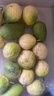 京地達海南百香果欽蜜9號黃金百香果當季水果凈重4.5斤單果80g+源頭直發(fā) 曬單實(shí)拍圖