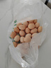 農(nóng)家土雞蛋谷物喂養(yǎng)新鮮現(xiàn)撿包郵50g/枚雞蛋生鮮鮮雞蛋水煮蛋 30枚 曬單實拍圖