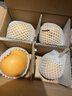 京鮮生山東煙臺萊陽秋月梨凈重4斤單果250g+ 新鮮水果 源頭直發(fā)包郵 曬單實拍圖
