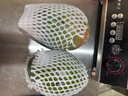 【新鮮上市】正宗攀枝花凱特芒果新鮮水果 帶箱5斤 中大果【單果200-300g】 曬單實拍圖