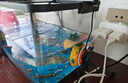 闊庭（KUOTING）魚(yú)缸水族箱生態(tài)桌面魚(yú)缸新款懶人魚(yú)缸生態(tài)造景過(guò)濾制氧一體機黑色 曬單實(shí)拍圖