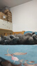 OPPO原裝8A數據線(xiàn)80W閃充type-c手機充電線(xiàn)Reno12/11/10/9/8Pro+ Find x8x6x5Pro N3 k11x一加真我通用 【80W】OPPO原裝1.5米閃充線(xiàn) 支持80 曬單實(shí)拍圖
