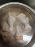 圣農(nóng) 琵琶腿 9斤 冷凍 炸雞腿烤雞腿鹵雞腿 源頭直發(fā) 曬單實拍圖