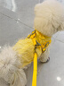 春秋季狗狗衣服泰迪比熊薄款背心小型犬田園風(fēng)套裝可愛(ài)衣服 L（建議體重8-11斤） 曬單實(shí)拍圖