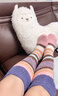 蕉內（Bananain）絨絨501C小腿地板襪女士加厚保暖7A抗菌防臭透氣家居長(cháng)筒秋冬2雙 條紋粉+條紋彩 2雙 曬單實(shí)拍圖