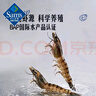 Member's Mark 泰國進(jìn)口 生冷凍黑虎蝦 2kg (約31-40只/每千克) 2kg(凈重) 曬單實(shí)拍圖