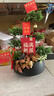 芙洛拉花園【兩小時(shí)達】五層塔松盆栽送導師青松綠植喬遷生日開(kāi)業(yè)重陽(yáng)節禮物 萬(wàn)事青松【精致造景五層塔松盆景】 送老師推薦 曬單實(shí)拍圖