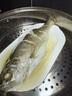 仙泉湖三去白蕉海鱸魚1斤/條凈膛冷凍刺少肉厚珠海特產(chǎn)500g生鮮食材 曬單實(shí)拍圖