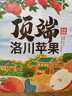 洛川蘋(píng)果陜西延安紅富士時(shí)令蘋(píng)果水果禮盒禮品蘋(píng)果生鮮新鮮脆甜整箱好吃 12枚75mm優(yōu)選果 禮盒裝凈4.8斤 曬單實(shí)拍圖
