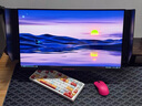 卓威同款面板240Hz 全新FPS游戲專(zhuān)用,600Hz高刷顯示器,CSGO、CF專(zhuān)用屏 24.1寸500Hz-2586X同款面板 送遮光板 官方標配底座 曬單實(shí)拍圖