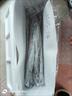 鮮到鮮得 冷凍舟山帶魚(yú)禮盒5.6斤 生鮮 魚(yú)類(lèi) 去頭去尾 中秋禮盒 曬單實(shí)拍圖