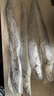 七條船舟山帶魚(yú)新鮮 野生小眼睛海釣帶魚(yú) 刀魚(yú) 整條 海鮮水產(chǎn) 生鮮 魚(yú)類(lèi) 1500g（7-9兩/條）共3-4條 曬單實(shí)拍圖